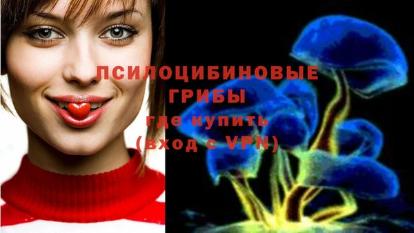 ГАЛЛЮЦИНОГЕННЫЕ ГРИБЫ Нея