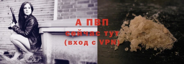 ГАЛЛЮЦИНОГЕННЫЕ ГРИБЫ Нея