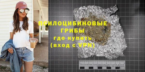 ГАЛЛЮЦИНОГЕННЫЕ ГРИБЫ Нея
