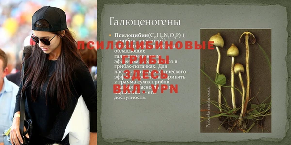 индика Тында