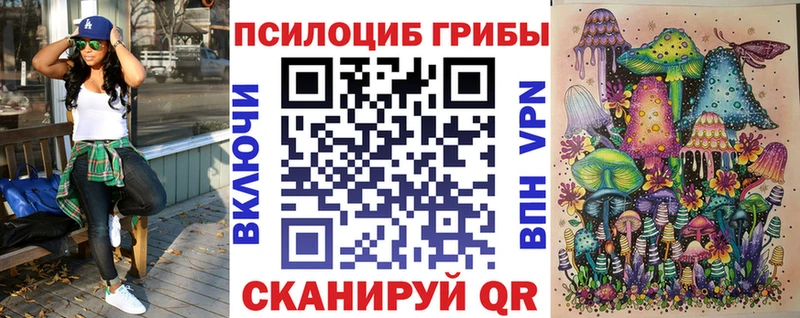 Псилоцибиновые грибы Psilocybine cubensis  Вологда 