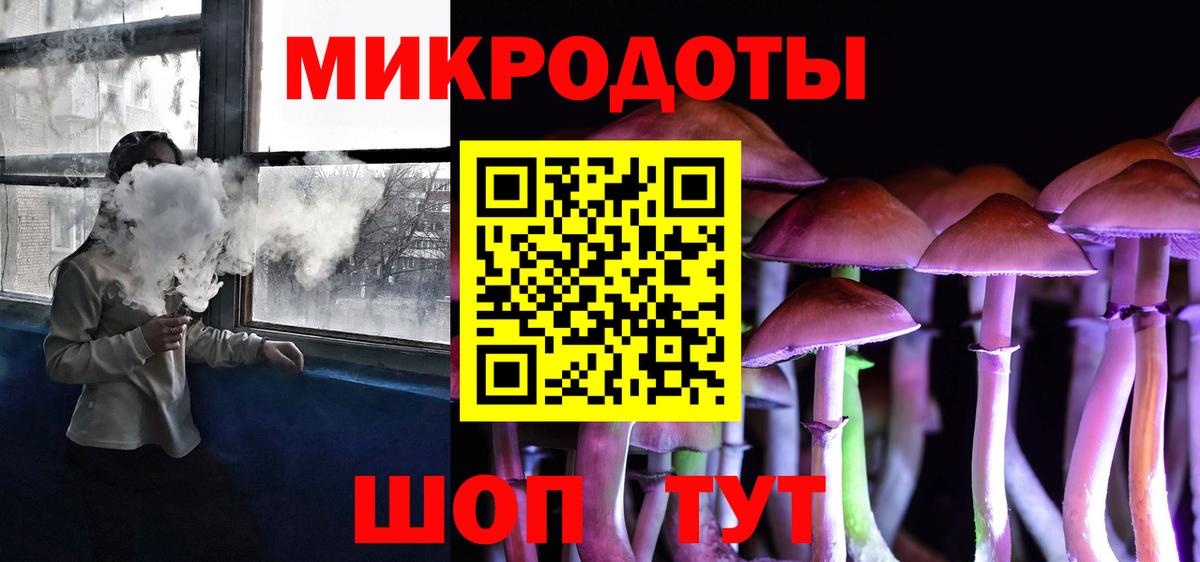 Псилоцибиновые грибы мицелий Вологда