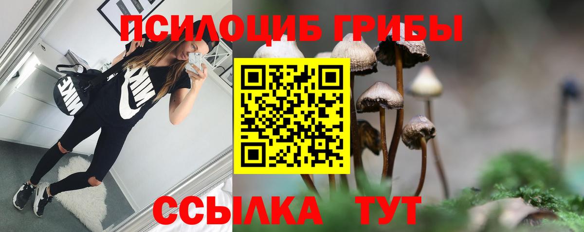 где найти наркотики  Псилоцибиновые грибы мухоморы  Вологда  Галлюциногенные грибы Cubensis 